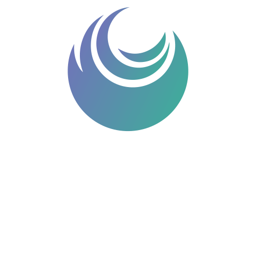 ICS Development - Logo Alb